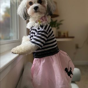 Meet your Posher, Sheila